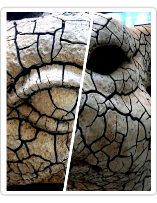 1328554711568.png image